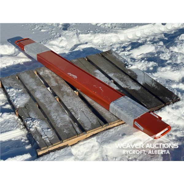 TMG 72 IN. FORK EXTENTIONS