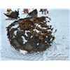 Image 2 : (2) SKIDDER TIRES & CHAINS