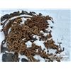 Image 3 : (2) SKIDDER TIRES & CHAINS