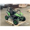Image 2 : 2023 48V ELECTRIC RENEGADE ATV