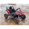 Image 2 : 2022 48V ELECTRIC RENEGADE ATV