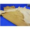Image 2 : Small Tanned Deer Hide