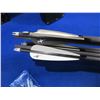 Image 4 : NEW - Carbon Express Carbon Composite Arrows