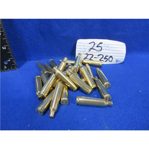 Brass Only - 22-250 Rem. Unprimed Win. Headstamp
