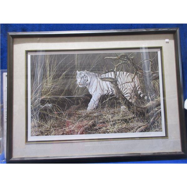 Alan M. Hunt Framed Print "Out From Cover - White Tiger"