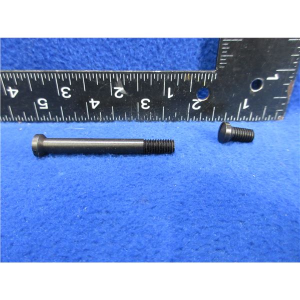 Winchester 1886 Tang Sight Screws