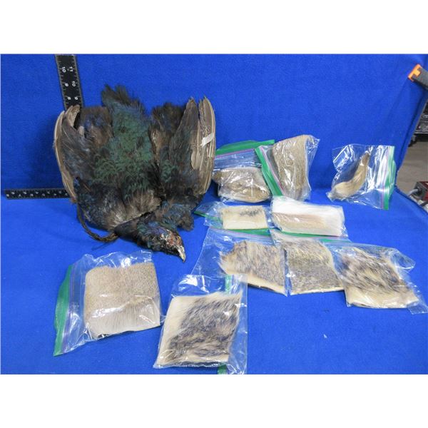 Pheasant Pelt and Assorted Fur for Fly Tying