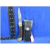Image 1 : Buck 110 Folding Lock Knife with Leather Sheath