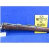 Image 7 : Non-Restricted - Mauser K98 by BRNO in 8mm