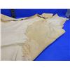 Image 3 : Small Tanned Deer Hide