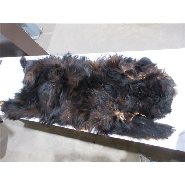 Bear Hide/Rug - Approx. 50" Nose to Tail and 24" Across