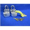 Image 3 : 5 Trigger Locks and 4 Master Padlocks