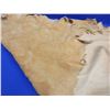 Image 2 : Small Tanned Deer Hide