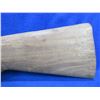 Image 2 : Stock Only - Browning Citori Wood Stock
