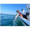 Image 3 : 3 Day Alligator Hunt / Inshore Fishing in Southwest Florida for Two (2) Hunters
