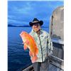 Image 3 : 3-day/4-night Alaska Exclusive Boat Base Charter on a guided Sea Duck Combo Trip with guided Saltwat