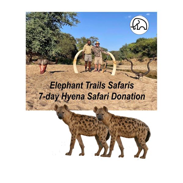 Seven-Day Hyena Safari in Zimbabwe