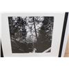 Image 2 : *Framed Forest Art Print 45'' x 45''