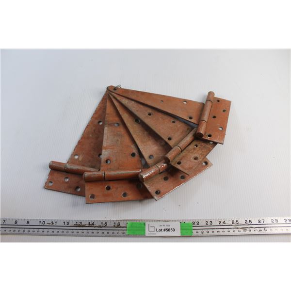 (5) Door Hinges