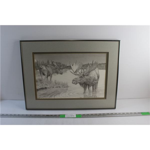 Framed Moose Bull Art Print 23'' x 17''