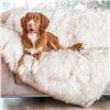 Image 1 : Couture Pets Waterproof Pet Blanket & Furniture Protector