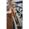 Image 2 : Rossignol Skis with 2 poles