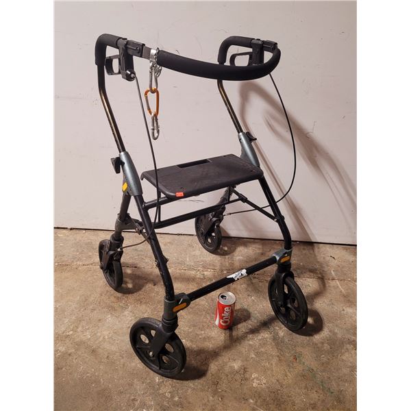 Seniors Rolling Walker