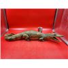 Image 2 : VTG Caiman Taxidermy