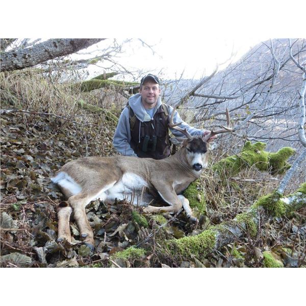 7 Day Sitka Blacktail Deer Hunt for 1 Hunter from Rainy Pass Lodge