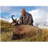 Image 1 : New Zealand Spring Chamois and Tahr 5 Day Combo Hunt Package Cardrona Outfitters