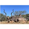 Image 1 : 7-Day South African Plains Game Hunt for 2 Hunters Matewetwe Safaris