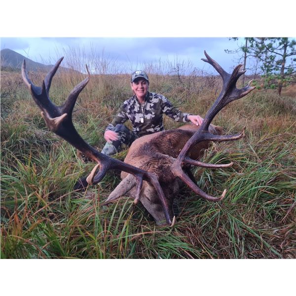 Free Range Irish Red Stag Plus Unlimited Hinds and Calfs