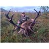 Image 1 : Free Range Irish Red Stag Plus Unlimited Hinds and Calfs