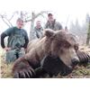 Image 1 : 9-day Alaska Brown/Grizzly Bear, Black Bear and Wolf Combo Hunt from  MIke Odin