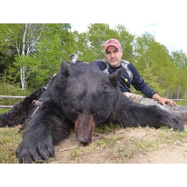 One Hunter 5 Day Fully Guided Saskatchewan Black Bear Hunt from  Timberlost Outfitting