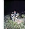 Image 1 : Hunger Relief Benefit  Hunt   Illinois Combo  Deer Hunt with Diamond Bow  from  Monarch Rivers