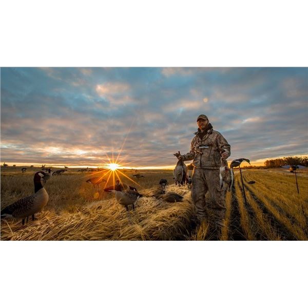 Great 3 Day Saskatchewan Waterfowl Hunt    No Fly Zone