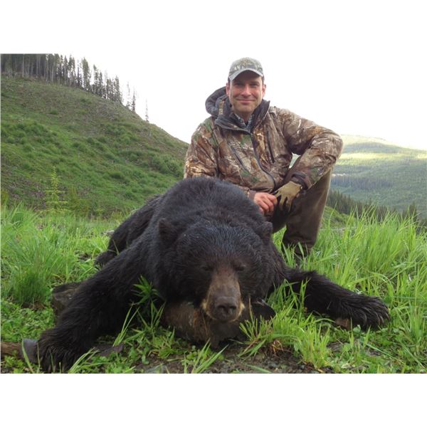 5 Day Fully Guided British Columbia Black Bear Hunt Ashnola Guide Outfitter