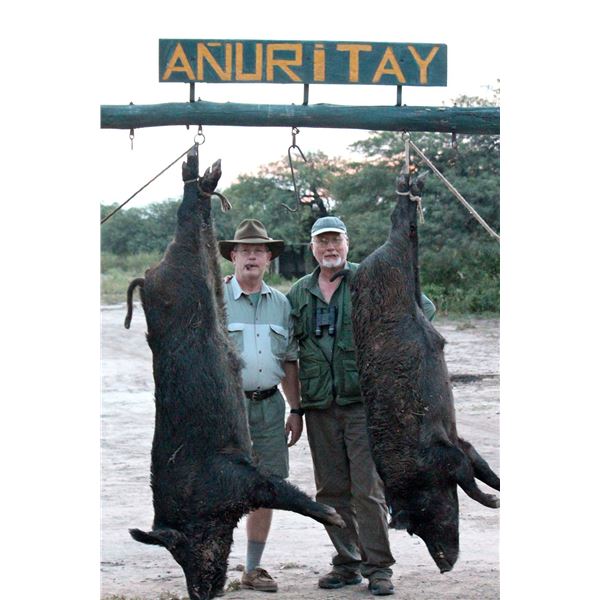 Two Hunter Argentina Big Game Hunt   Anuritay Game Ranch
