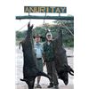 Image 1 : Two Hunter Argentina Big Game Hunt   Anuritay Game Ranch