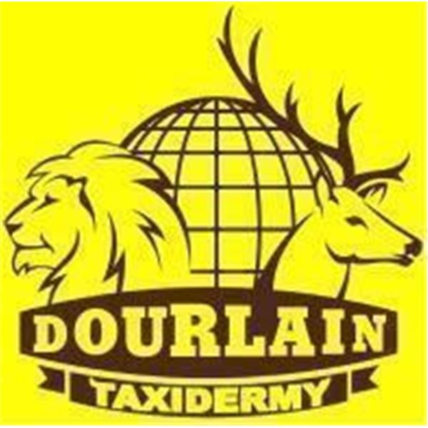 Dourlain Taxidermy  $1,000  Certificate