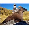Image 1 : New Zealand Bull Tahr Hunt  for one  Cardrona Outfitters