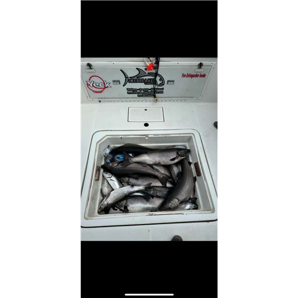 Lake Michigan Salmon, Lake Trout, Steelhead Charter   IceBreaker Charters LLC
