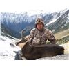 Image 1 : Cantabrian Chamois for One Hunter from Safari Outfitters