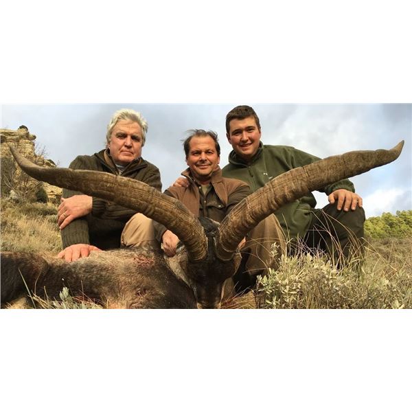 Spanish Red Deer & Ibex Hunt   Prohunt Safaris