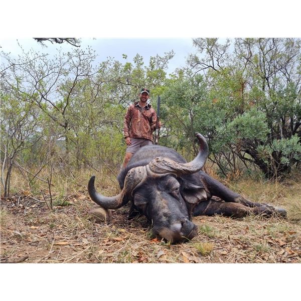 South Africa Cape Buffalo Cow Hunt with  De Wet Hunting Safaris