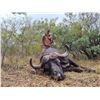 Image 1 : South Africa Cape Buffalo Cow Hunt with  De Wet Hunting Safaris