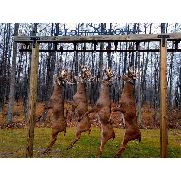 Michigan Trophy Whitetail Hunt  Lost Arrow Ranch