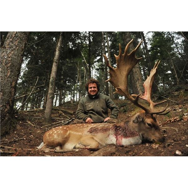 Bronze Fallow Deer Hunt in France from  France Safaris
