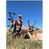 Image 1 : Wyoming Trophy Pronghorn Hunt WY Professional Hunters